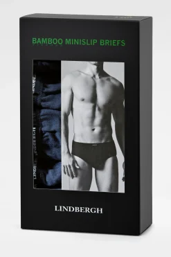 Briefs
