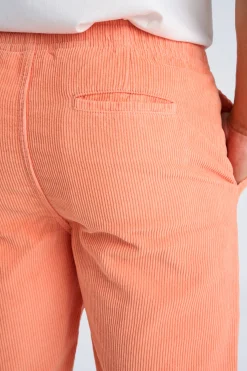 Casual shorts